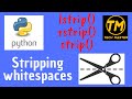 Stripping whitespaces in python | removing whitespace in python | lstrip() | rstrip() | strip() |