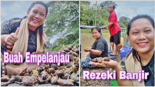 Rezeki Banjir Buah Empelanjau Mayuh Anyut