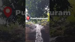 Munthal water falls Puliangudi #shortsfeed