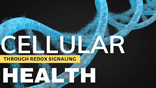 Unlock Cellular Health: ASEA Redox Signaling \u0026 Products Explained