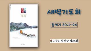 일산은광교회 새벽기도회 [창세기 30:1~24]