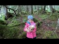 family foraging fun teaching the kids how to hunt edible mushrooms in alaska kilcher homestead