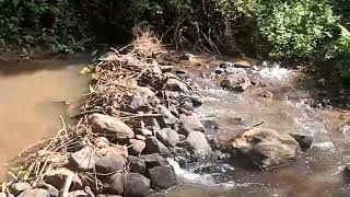 Narsipatnam To Chinthapalli Sileru Road Yerravaram Water Falls