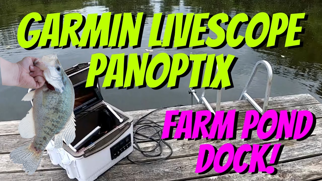 Garmin Panoptix Live Scope On A Farm Pond Dock | Fishing Stunted Bass ...