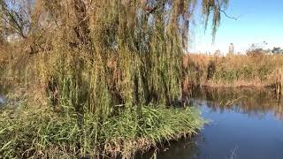 荒川土手の水辺公園 癒しの風景