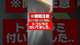 あの有名なトコジラミに出会ってしまった【姉がアホすぎて辛い】#トコジラミ#韓国