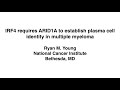 IRF4 requires ARID1A to establish plasma cell identity in multiple myeloma