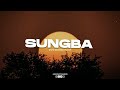 (FREE) Burna Boy x Asake x Rema  Amapiano type beat 2024 - 