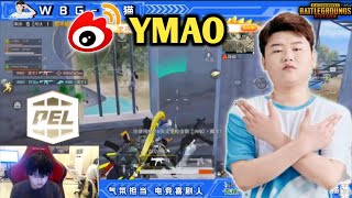 WBG Ymao(Wildcat) TPP Close Range is Insane😱 • PEL 2022 S1 Scrims