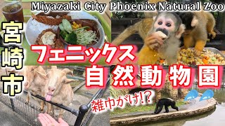 [Phoenix Natural Zoo] A zoo located in Miyazaki City where you can enjoy a relaxing day./travelvlog