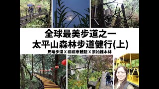 全球最美步道在台灣？見晴步道／太平山二日遊（上）【自然紀行】【GraceTravel】