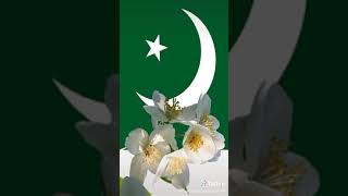 Aayat Arif || Pakistan Zindabad || 14 August Song || Official Video ||