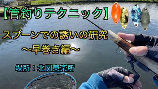 【管釣りテクニック】スプーンでの誘いの研究〜早巻き編〜