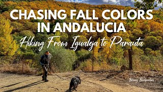 Chasing Fall Colors in Andalucia, Spain - Hiking from Igualeja to Parauta (Malaga)