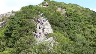 河馬遠足隊  13-05-2018  由沙田坳道上，經橫山徑上石天梯，荒脊出麥徑；經獅子山南脊落法藏寺落黃大仙散