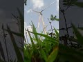 windmills in ramakkalmedu