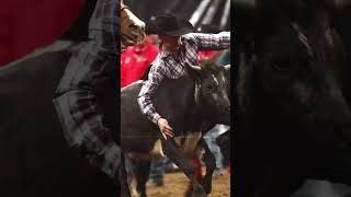 Beauty of a run by Brendan Laye at the CFR ‌ 📸 Hanging Horses  ‌#rodeo #steerwrestling