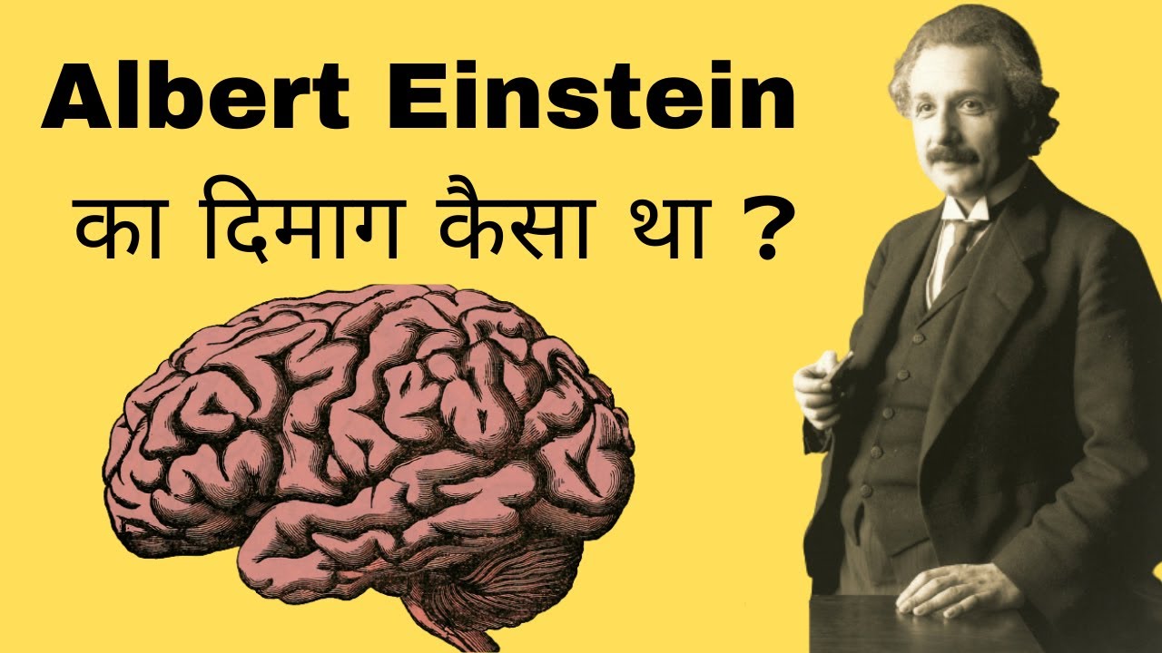 Albert Einsteins Brain Compared Average Brain