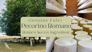 Pecorino Romano- Rome's Secret Ingredient!