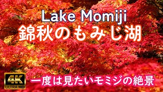 モミジの絶景が楽しめるもみじ湖　日本一の呼び声高いモミジの名所