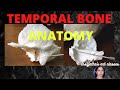 144.Temporal Bone Anatomy #anatomylectures #temporal #medicalstudent