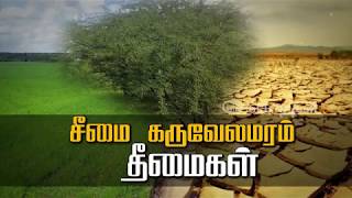 சீமை கருவேலமரம் தீமைகள் | Karuvelamaram | Senganthal