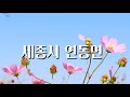 세종시 연동면 코스모스 살살이꽃 기차와 코스모스