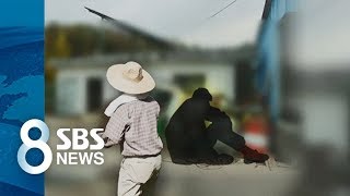 지적장애인 노예노동 구출해도 자립 '막막 / SBS