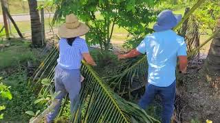 cambodian farm tour Homestead Florida