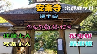 【そうだ京都、巡ろう】安楽寺を参拝させていただきました🍁秋の特別公開を訪問させていただきました