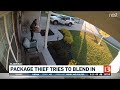 Plainfield package theft caught on camera