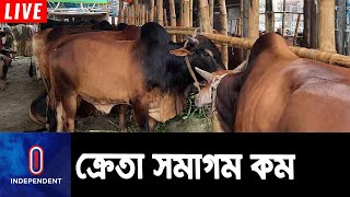 রাজধানীর ২১ পশুর হাটে আজ থেকে শুরু আনুষ্ঠানিক কেনাবেচা || Qurbani Cow Haat