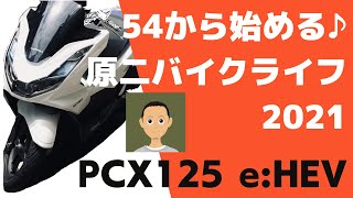 PCX 125 e:HEV 通勤で乗ってます