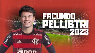 Facundo Pellistri▶Bem Vindo Ao Flamengo? (Sondagem) ● Skills, Goals \u0026 Assists | 2023 HD