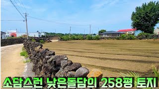 [제주도 부동산경매] 조용한 구좌읍 세화리, 258평 대지+전!!  실제현장임장 (2021타경8813) *경매종료*