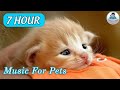 Music Relax For Dog - Dog's favorite music - Calm Your Energetic Dog with this Soothing Music