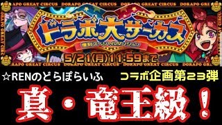 【ドラポ】☆RENのどらぽらいふ　youtuberコラボ企画第23弾　5周年復刻スぺダンドラポ大サーカス　真・竜王級に挑戦！