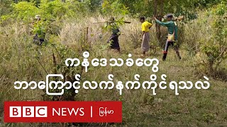 ကနီဒေသခံတွေ ဘာကြောင့် လက်နက်ကိုင်ရသလဲ - BBC News မြန်မာ