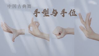 中国古典舞身韵方法谈 ｜ 手型与手位