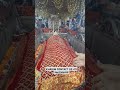 saiyed ali mira datar dargah saref gujarat new reels vairal reels