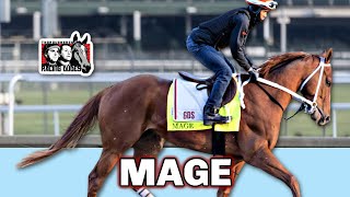 Can MAGE Defeat FORTE In 3rd Attempt? | 2023 Kentucky Derby Contender Profile