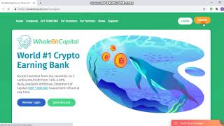 the best website for investement WhaleBitCapital.com