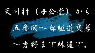 天川村母公堂から林道で吉野水分神社迄（奈良の爺々）