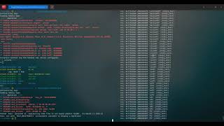 Shellcode emulator