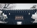 京都の雪が魅せる映画の世界のような神社仏閣3選 l 2025 snowy kyoto beautiful snow in kyoto arashiyama