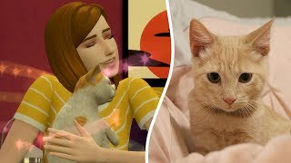 I GOT A CAT! // The Sims 4: Simself Let's Play #3