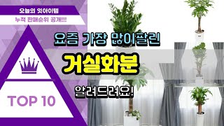 [광고]거실화분 추천 판매순위 Top10 || 가격 평점 후기 비교