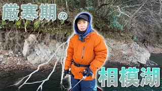 【バス釣り】２月の相模湖にチャレンジ！まさかの場所からデカバスが、、、？