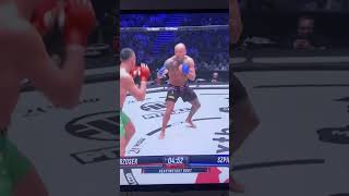 Szpilka v wrzosek