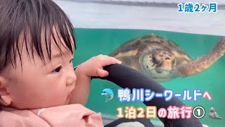 【1歳2ヶ月】鴨川シーワールドへ1泊2日の旅行①【りあっぴ 成長記録】